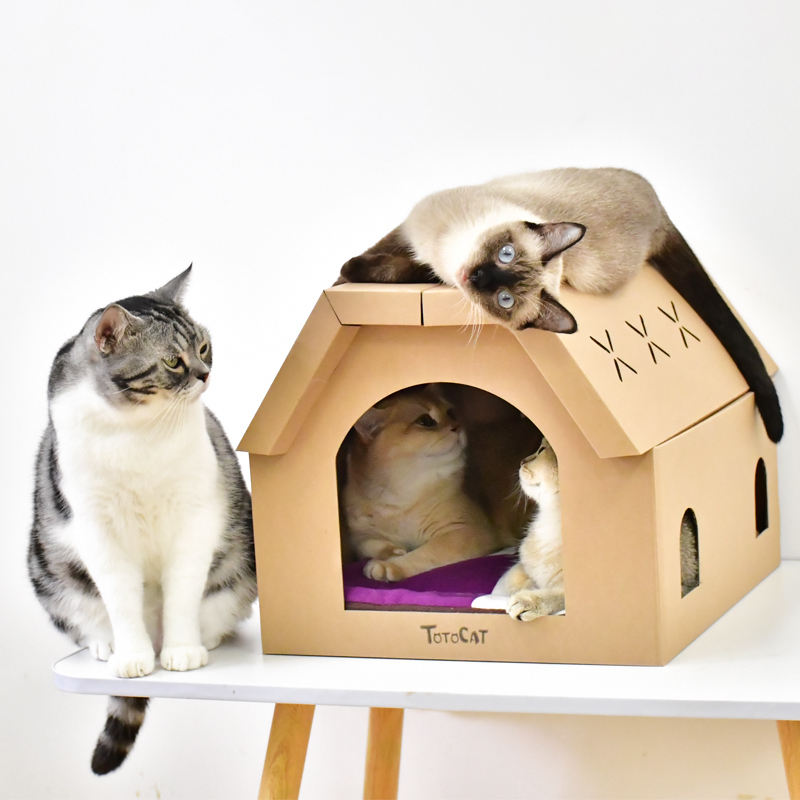 Cat House.jpg