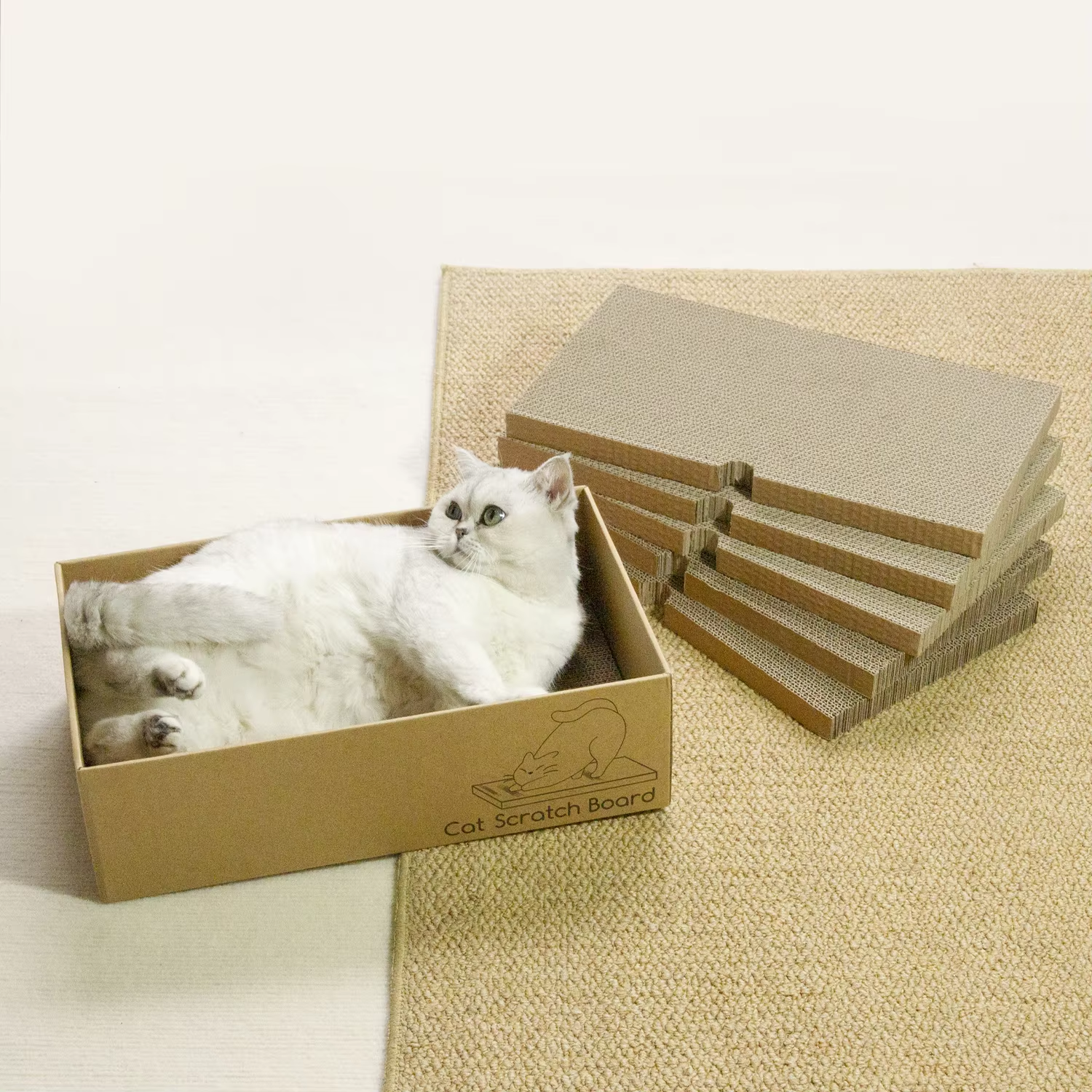 0337604e21842cea45fd01516954a70c 拷貝.png