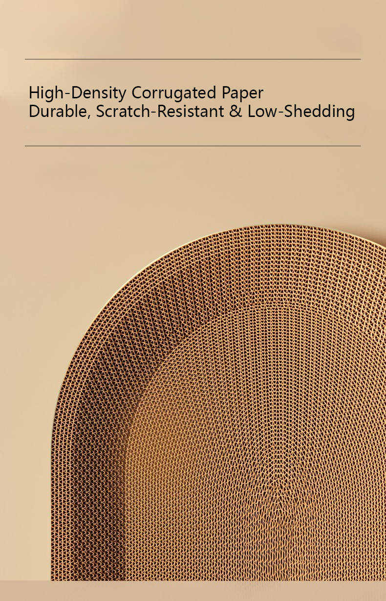 54eca9d1962c3d44d005cc297cee9c3c 拷貝.png